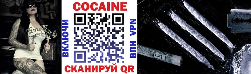 Кокаин FishScale  Купить закладки  Большой Камень 