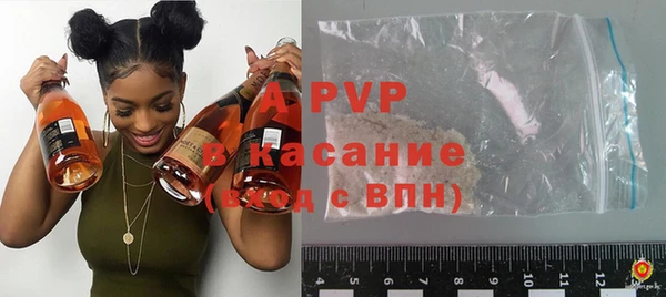 a pvp Бородино