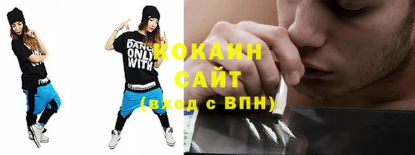 a pvp Бородино