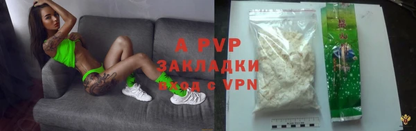 индика Великий Новгород