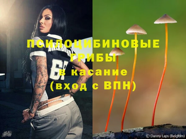 a pvp Бородино