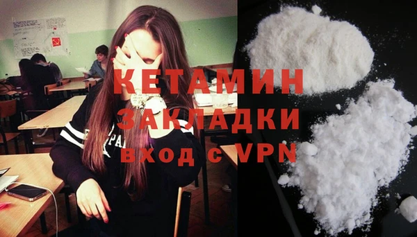 a pvp Бородино