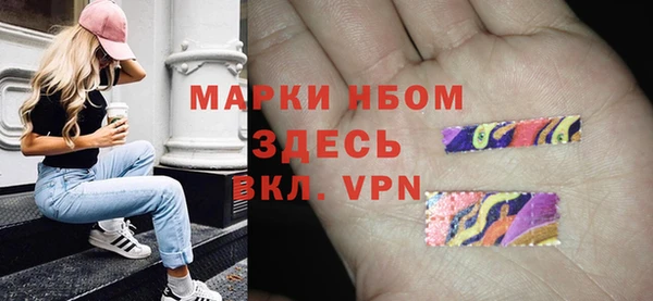 a pvp Бородино