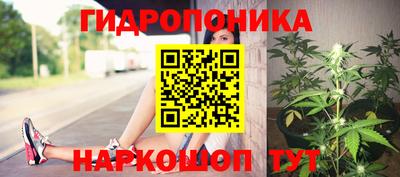 ПСИЛОЦИБИНОВЫЕ ГРИБЫ Аргун