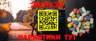 гидра Тавда