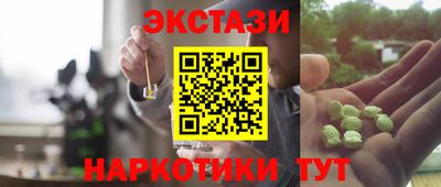 гидра Тавда