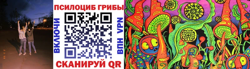 Купить где  Большой Камень  Галлюциногенные грибы прущие грибы 