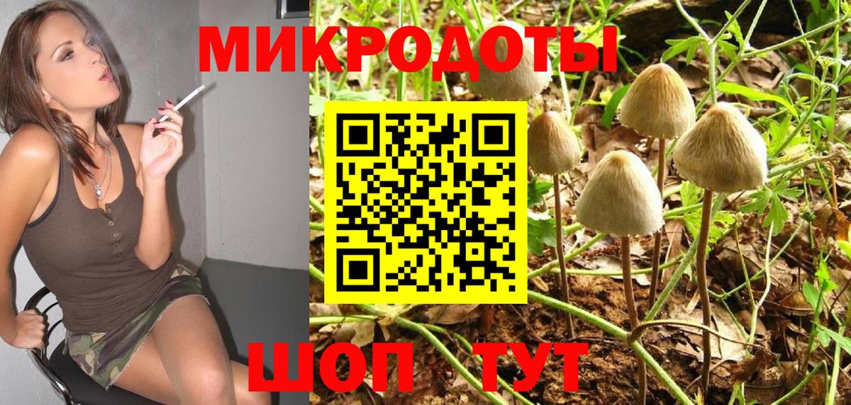Большой Камень  Галлюциногенные грибы GOLDEN TEACHER  Вход с VPN 