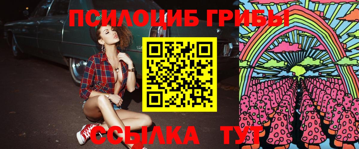 Псилоцибиновые грибы GOLDEN TEACHER Большой Камень