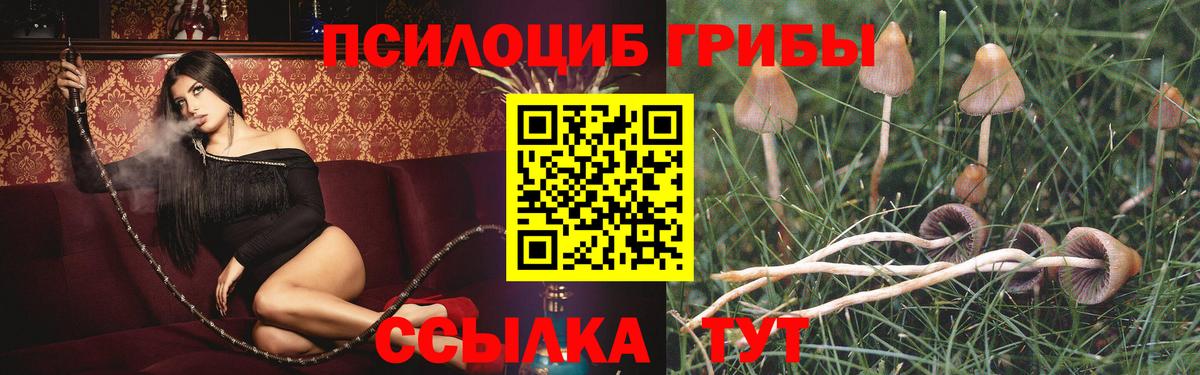 Псилоцибиновые грибы мухоморы Большой Камень