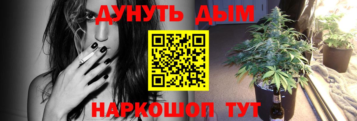 Бошки Шишки планчик Большой Камень